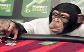 دانشمندان کنجکاوی میمون ها درباره قمار را مورد آزمایش قرار دادند!