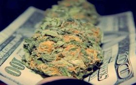 نابغه ی شرط بندی معتاد به ماریجوانا