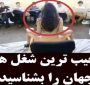 آشنایی با شغل های پولساز، عجیب و کمتر شناخته شده جهان