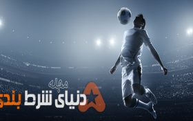 نکات مهم برای انتخاب یک تیپستر خوب در شرط بندی
