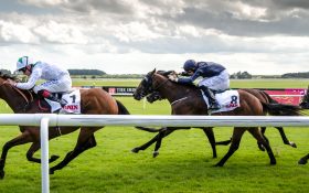 معرفی ثروتمندترین و بزرگترین مسابقه اسب سواری در جهان