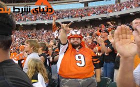 موجودات مزاحمی که در هر بازی فوتبال رو اعصاب شما هستند