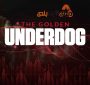 آشنایی با استفاده از استراتژی آندرداگ(Underdog)