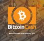 بیت کوین کش( Bitcoin Cash) چیست؟