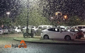 حمله ملخ ها به بزرگترین شهر شرط بندی دنیا لاس وگاس