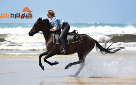 معروف ترین سوارکاران در طول تاریخ