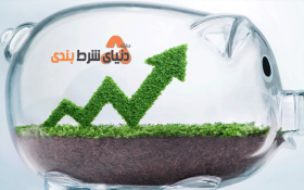 معرفی 8 کازینو حامی محیط زیست