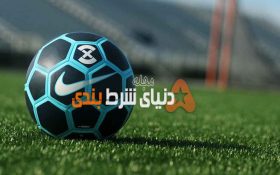 استراتژی شرط بندی بر روی یک تیم خاص