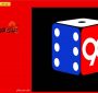 معرفی سایت شرط بندی تاس90