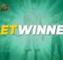 معرفی سایت شرط بندی betwinner