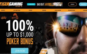 معرفی سایت شرط بندی تایگر گیمینگ