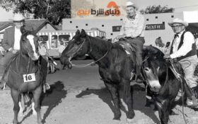 بیوگرافی ویلیام برگستروم؛اولین قمار باز 1میلیون دلاری جهان