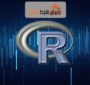 استفاده از R در تحلیل شرطبندی