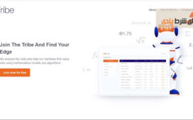 معرفی سایت شرط ارزشمند: آدز ترایب (OddsTribe)