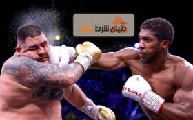 آموزش شرط بندی بر روی پیش بینی نتایج مسابقات بوکس