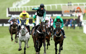 شرط بندی رایگان اسب دوانی: با شرط بندی 10 پوندی در جشنواره Virgin Bet می توانید 20 پوند برای Cheltenham مطالبه كنید