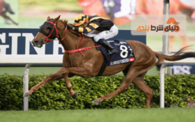 آموزش شرط بندی اسب سواری