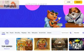 معرفی کازینو آنلاین کت کازینو