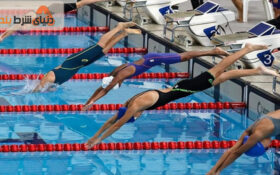 آموزش شرط بندی سود آور در رشته شنا