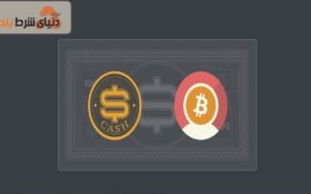 معرفی سایت شرط بندی پولی‌دایس