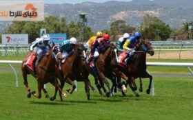 شگرد سوارکار برای شرط بندی در مسابقات اسب دوانی