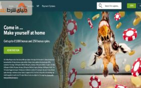 معرفی کازینو اسکول (Skol Casino)