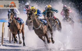 نتایج شگفت انگیز مسابقات اسب دوانی در تاریخ شرط بندی ورزشی