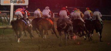 نحوه شرط بندی در مسابقات اسب‌دوانی (Horse Racing)