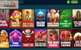 آشنایی با کازینو ذن بتینگ (ZenBetting)