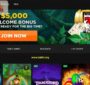 آشنایی با وایلد کازینو (Wild Casino)