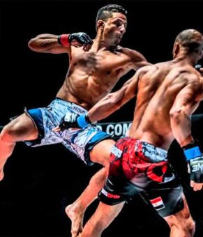 چند توصیه مهم برای شرط بندی در م.ام.ای (MMA)