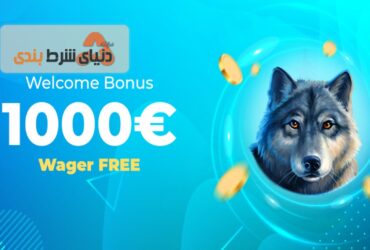 ولفی کازینو (Wolfy Casino)؛ اپلیکیشن، سایت و بازی زنده