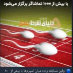 imported from telegram (WP Gram Plugin)