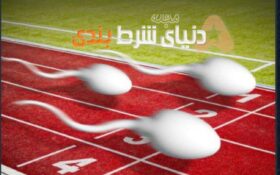 شرط بندی جذاب روی اولین مسابقه اسپرم جهان!!